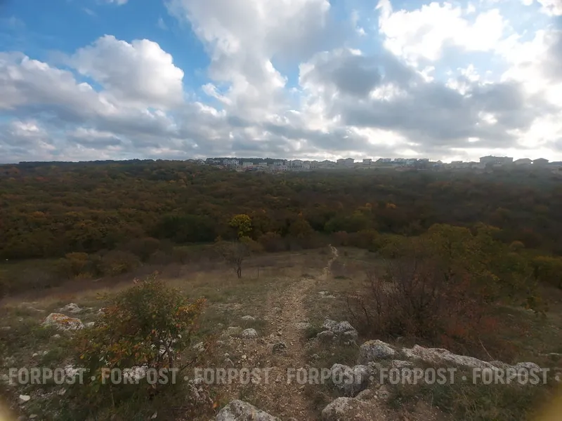 В Севастополе под шумок представили проект Максимовой дачи 