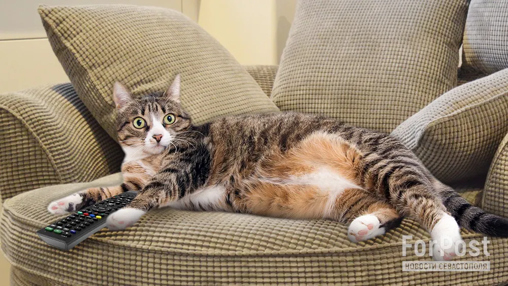 Телеканал правительства Севастополя сделал рекламу Нацгвардии Украины