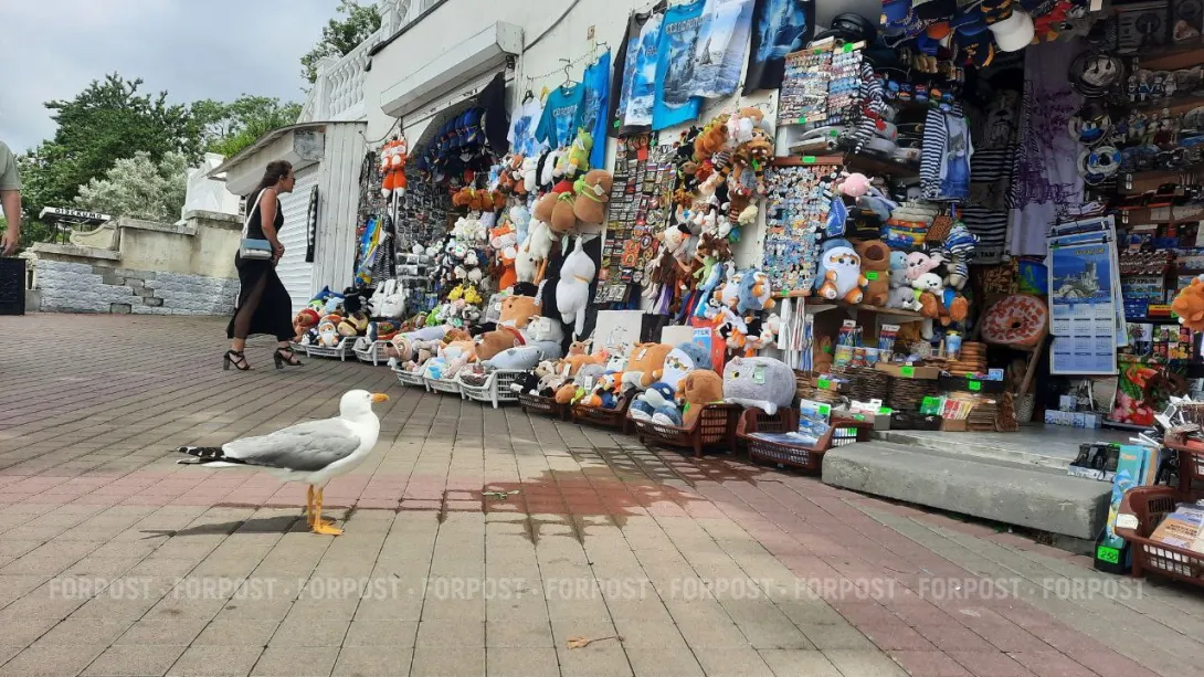Топ сувениров Крыма и Севастополя: что увезти на материк