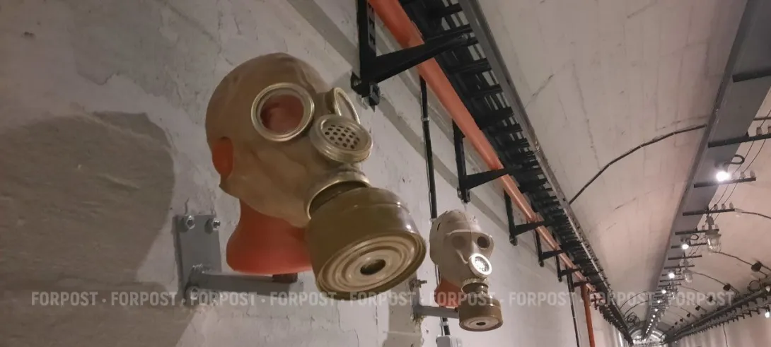 Правительству Севастополя выдадут противогазы и отправят преодолевать преграды