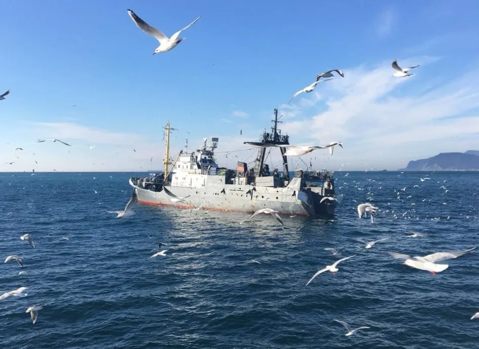 40 лет не отмечают: куда идёт рыбный флот Чёрного моря