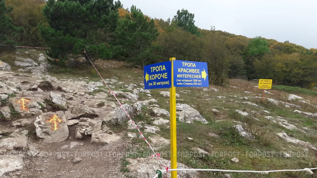 Севастопольское производство ползёт в гору