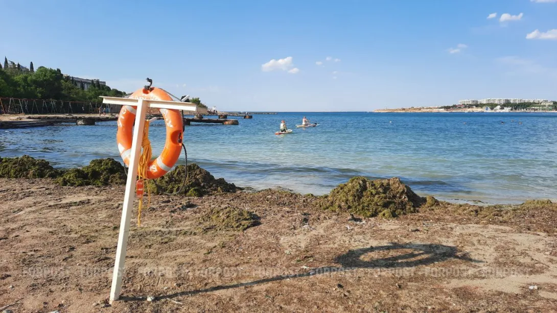 Севсети #770: наступающий мусор, пляжные технологии и Овсянников с 11-Б