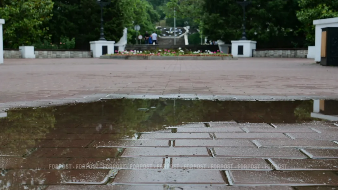 СевСети #914. Загадка улицы Суворова и чиновницы в шубах