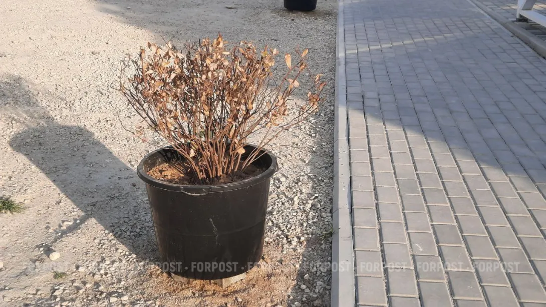 В Севастополе предпринимателей обяжут заботиться о своей территории