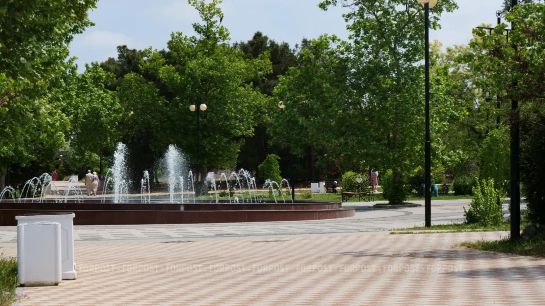 Правительство Севастополя решило само убирать мусор в парке Победы