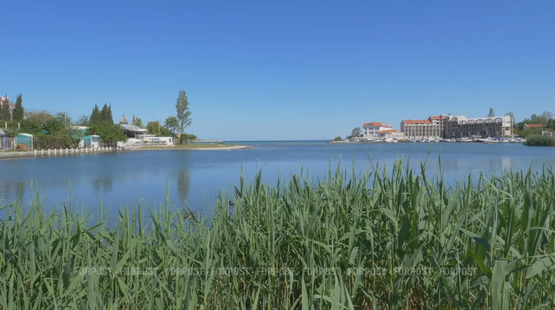 СевСети #915. Предвестники весны и горох Севастополя