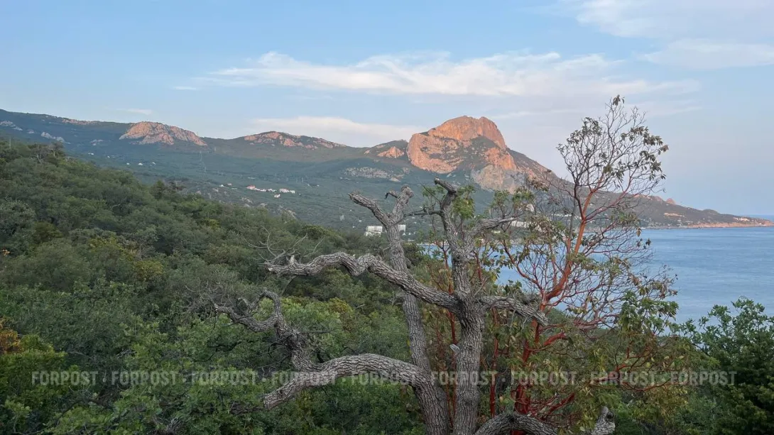 СевСети #777: Тиранозавры по-севастопольски, олени за рулём и подозрительно открытый пляж