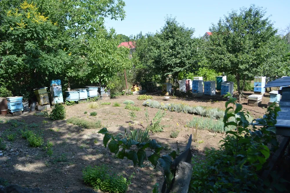 В Каче доводят местных жителей до бунта