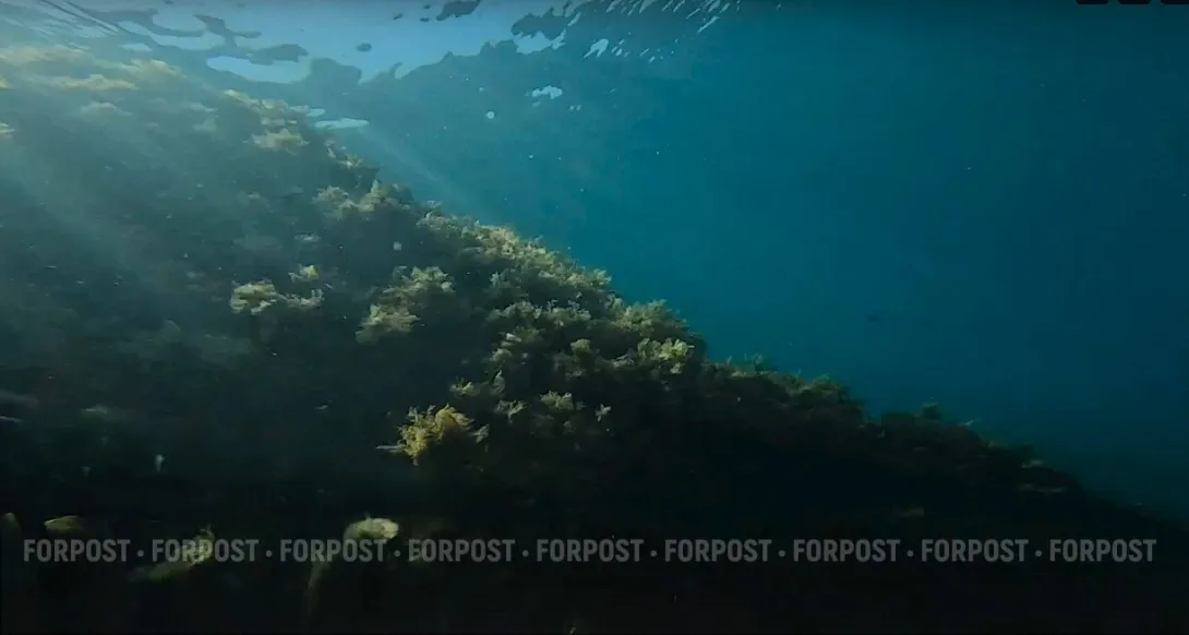 В Севастополе установят памятник погибшим на СВО водолазам 