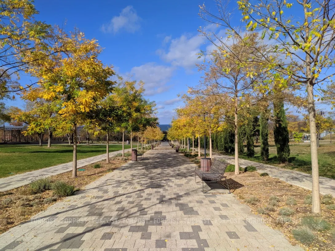 СевСети #918: Дворцовые тараканы, полпути к счастью и учкуевские ранетки