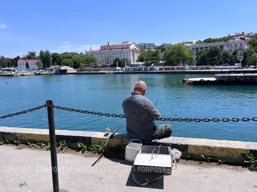 Севсети#774: Кромешная тьма, улица Кожаного и кожа пучками