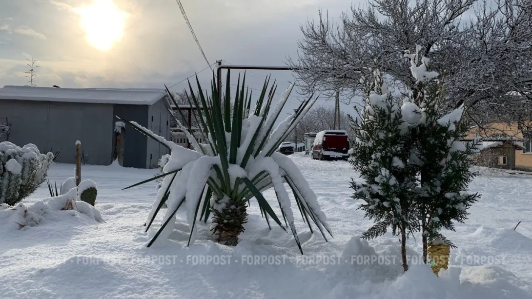 СевСети #917: Севастопольские желания и «туалетная» смекалка