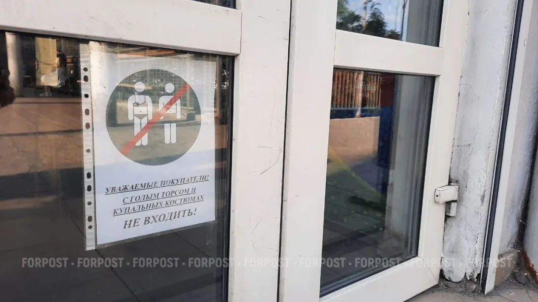 Севсети#773: Судьба самовыдвиженца, фригидная литература и пропавший аппетит