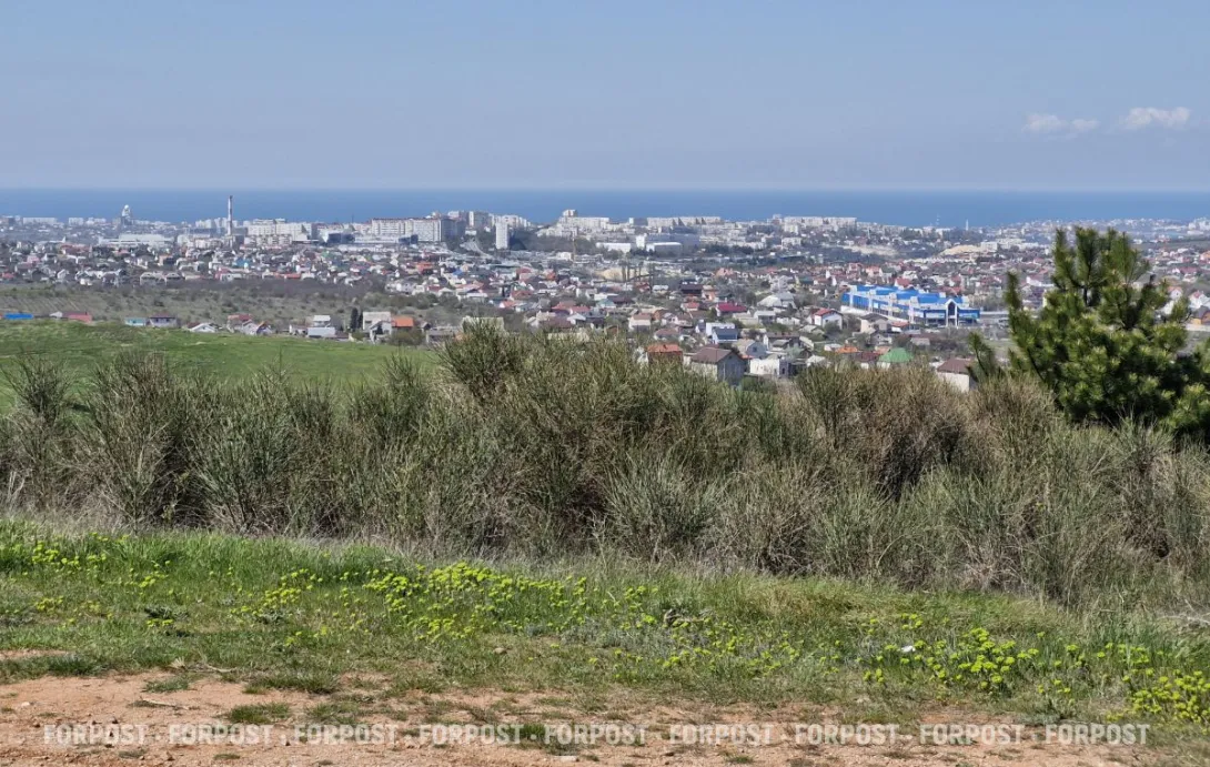 Продавец льготных земельных схем из севастопольского ДИЗО бойкотировал законный штраф 