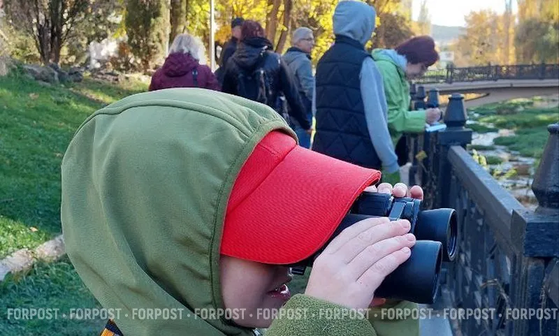 Кто и зачем ходит на «птичьи прогулки» в Крыму