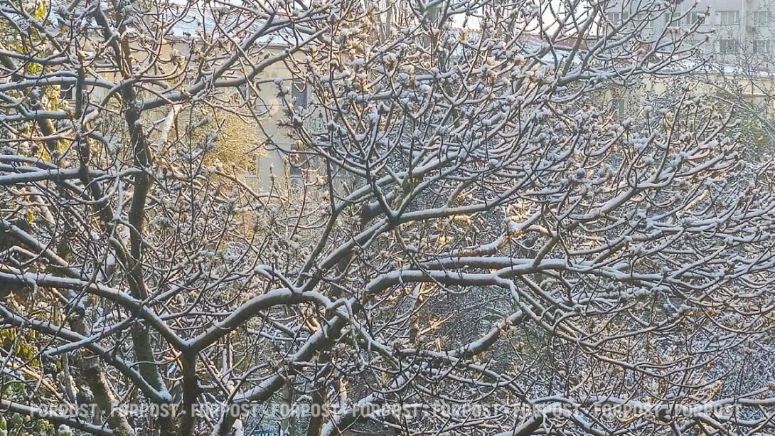 В Севастополе подсчитали убытки и прибыль от чуднόй весны