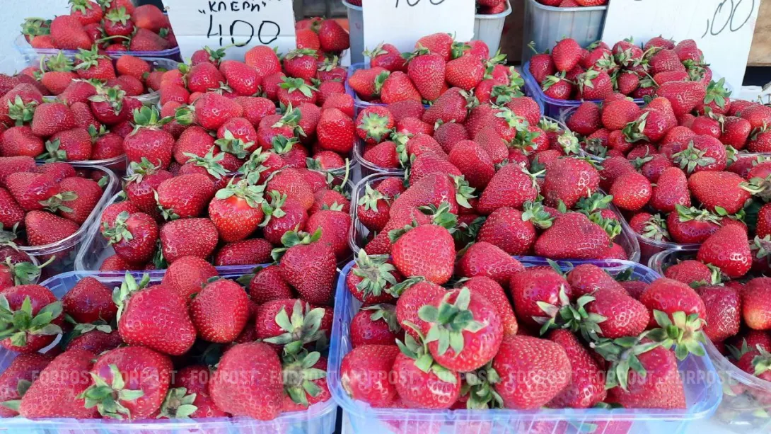 В Севастополе подсчитали убытки и прибыль от чуднόй весны 