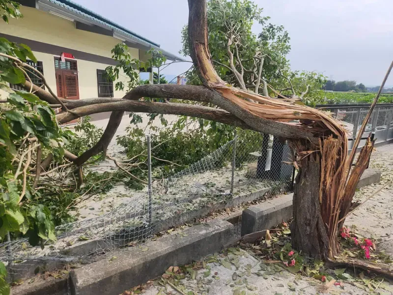 Тайваньская армия по ошибке обстреляла деревню в центре острова