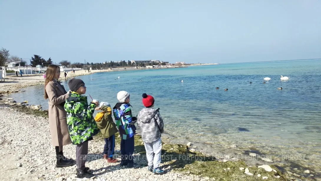 В России придумали, как сделать услуги нянь и сиделок безопасными