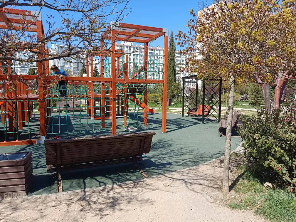 В севастопольском Динопарке ребенок порвал ногу в дыре с гвоздями 