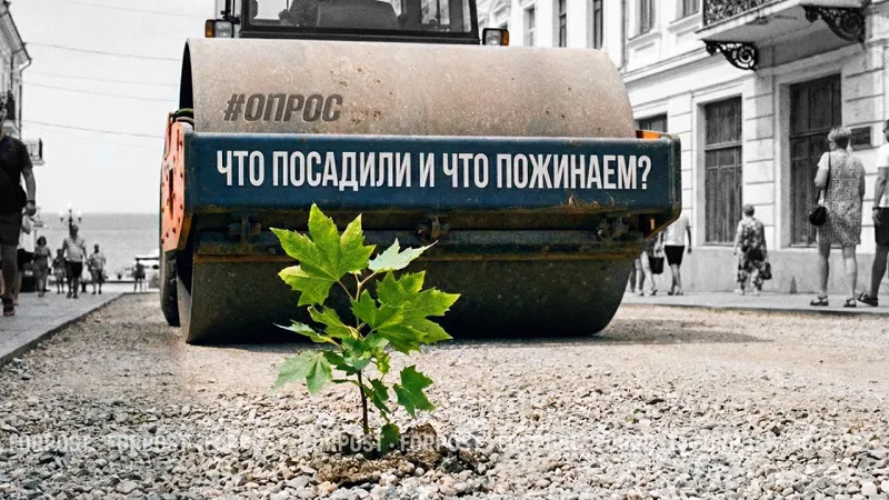 Почему севастопольцы озеленяют город своими руками? — опрос ForPost