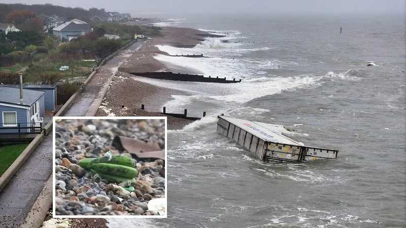 В Англии вылов бананов из моря могут счесть нарушением морского права