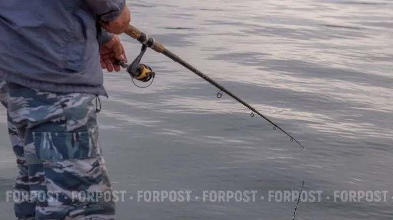 Работник порта попался на незаконной ловле рыбы и креветки в Крыму