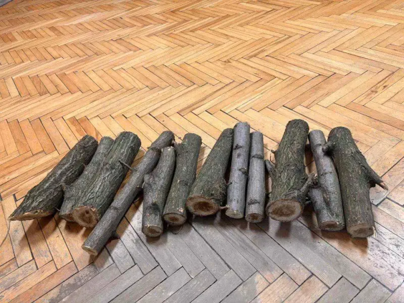 Приставы изъяли у украинца 12 чурок из акации за долги