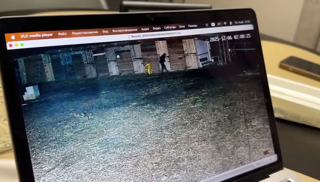 Что грозит напоившему лошадей кислотой живодёру в Волжске