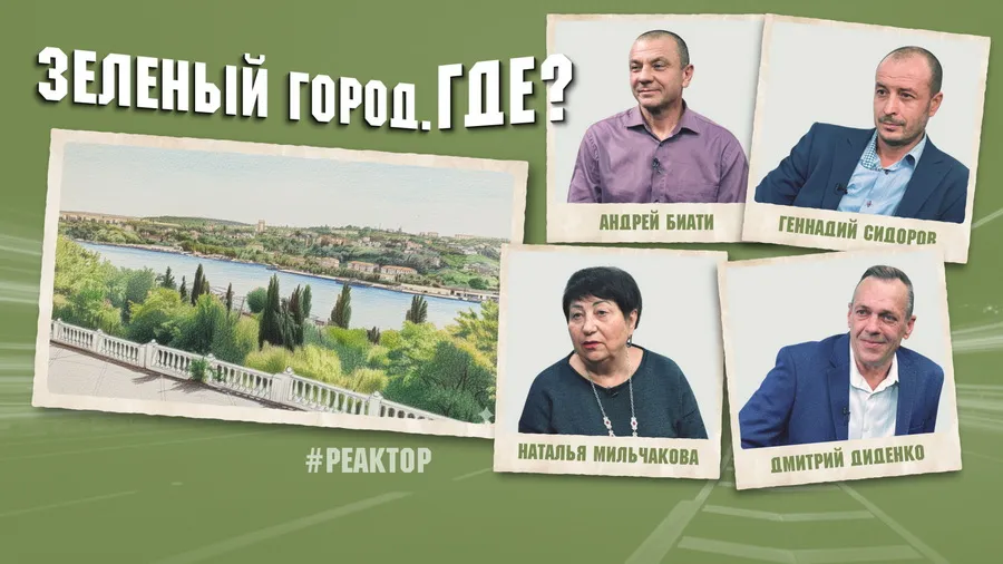 Экологическая безопасность Севастополя под угрозой: как спасти городские деревья без миллиардов и долгих совещаний