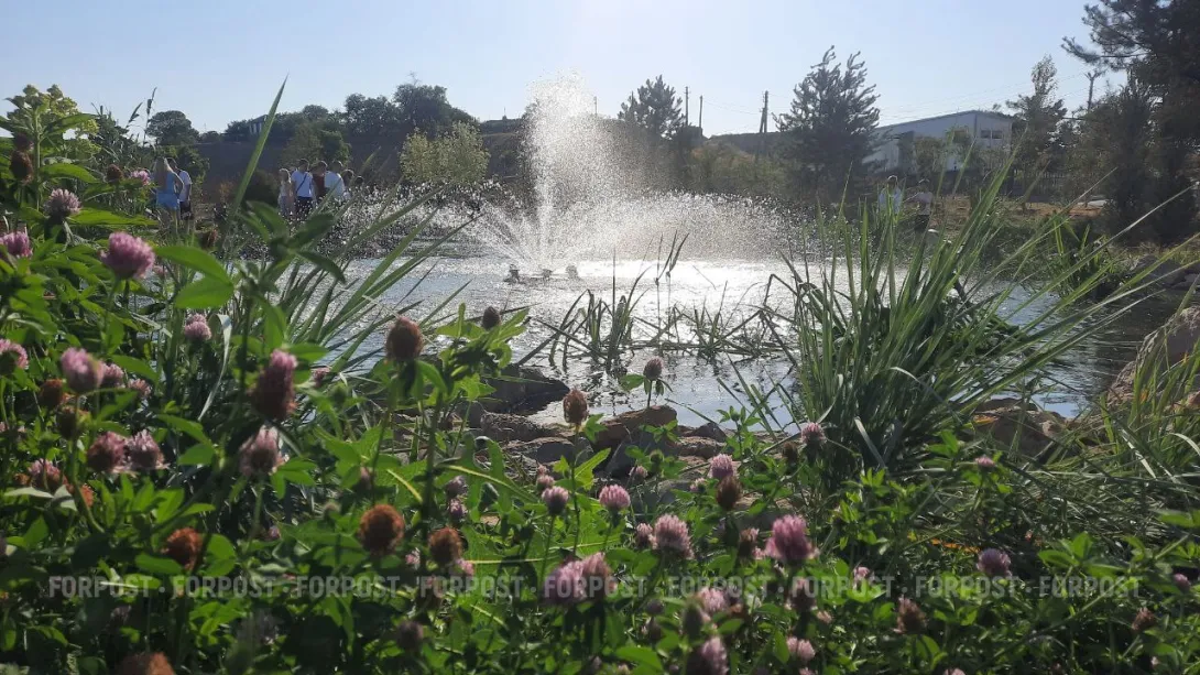 СевСети #926: Севастополь без воды и бесплатные медицинские маски