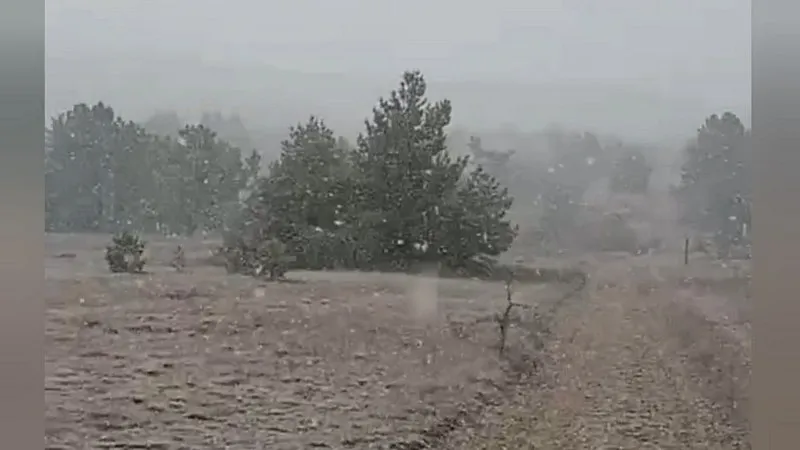 Крымские горы начинают обрастать снегом