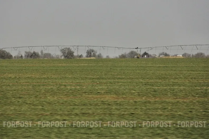 Власти Севастополя отказались от идеи узаконить пестициды