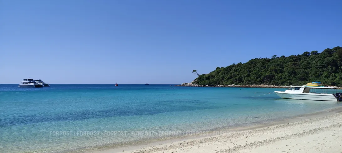 Бизнес Севастополя предупредили о деньгах и недвижимости в офшорах