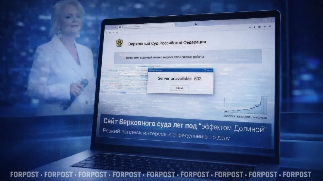 Сайт Верховного суда опубликовал решение по делу Долиной — и завис