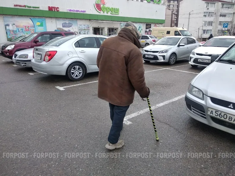 Севастопольские предприниматели пожертвовали землю под приют для бездомных