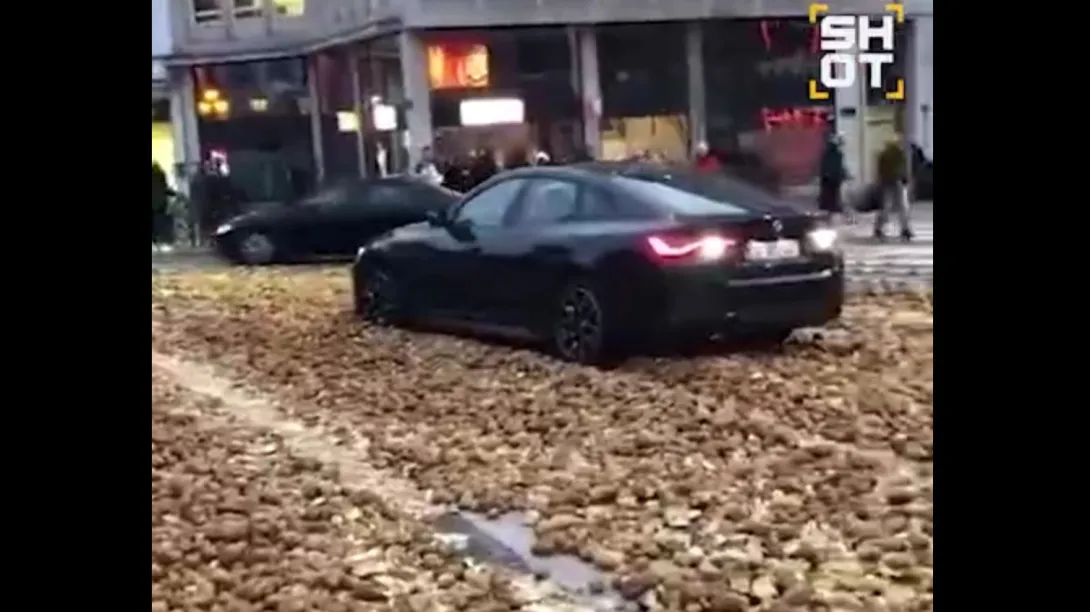 Брюссель стал большой тарелкой с пюре из-за «картофельной революции» фермеров