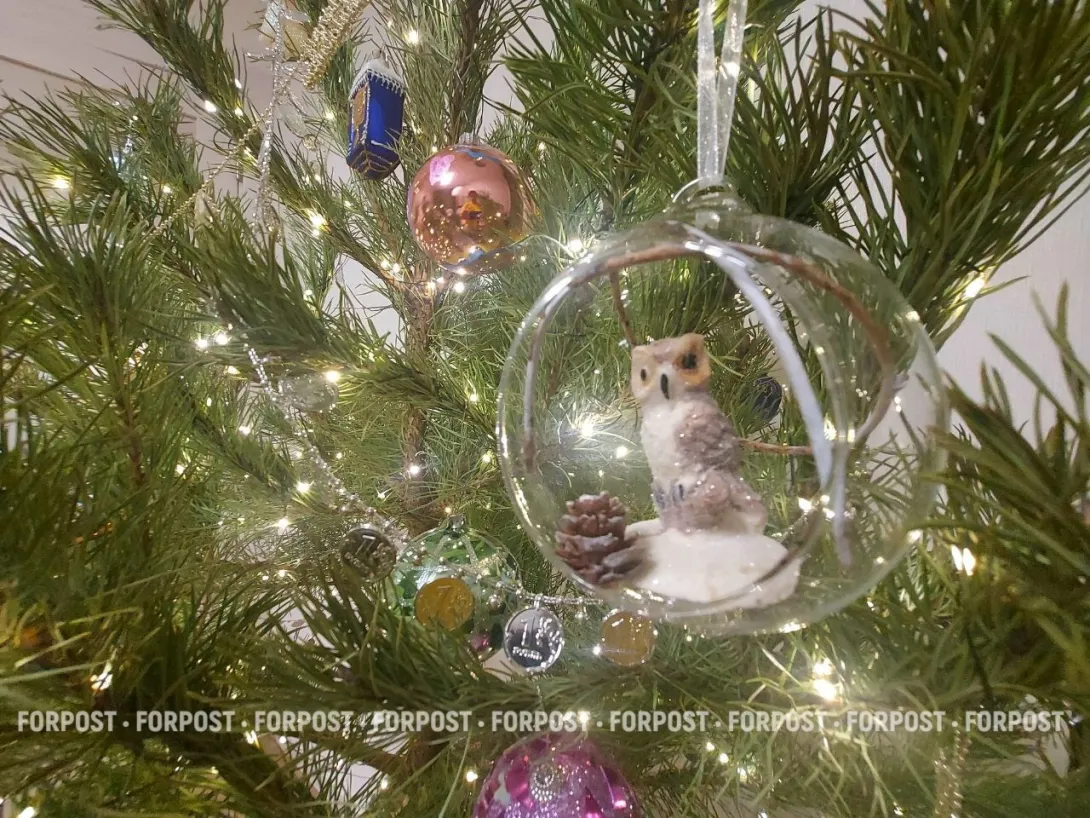 Новый тренд или утопия? Примут ли россияне «новогодний шеринг»