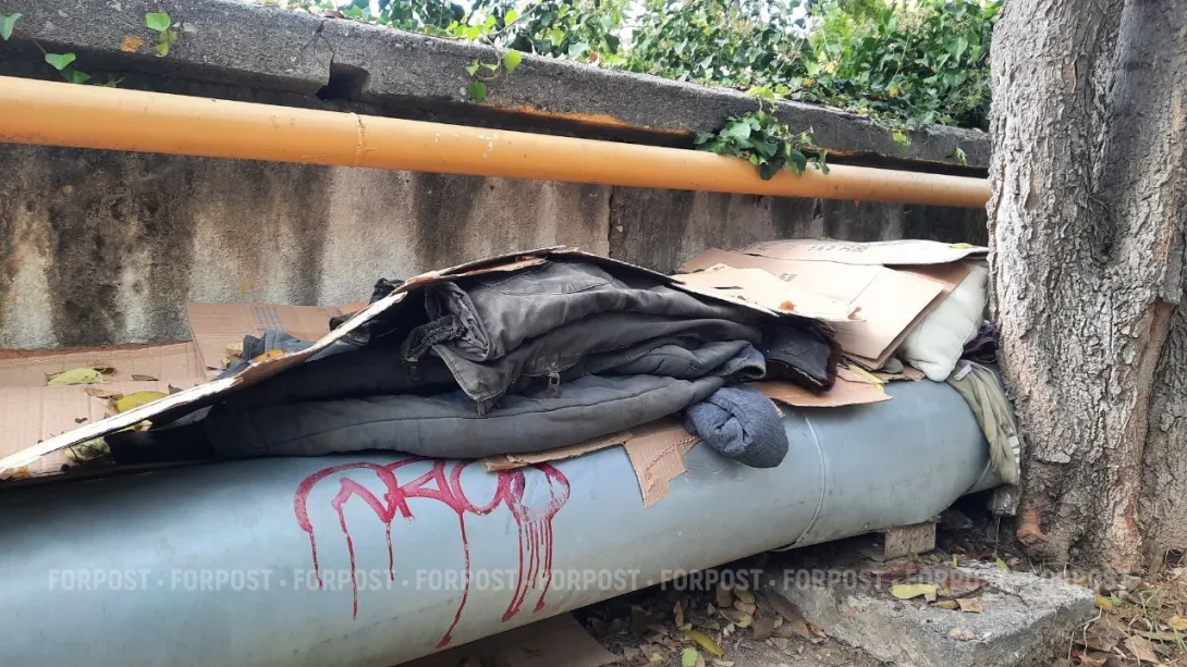 Улица добьет: в Севастополе бездомным нужен приют