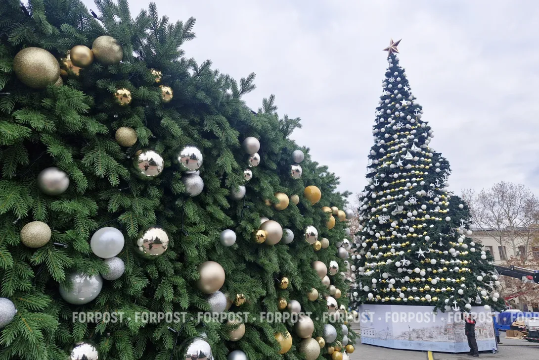Новая ёлка на площади Нахимова восхитила севастопольцев