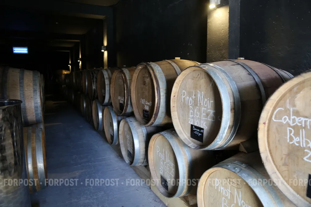 Администрация Севастополя прекратила войну с Инкерманским винзаводом