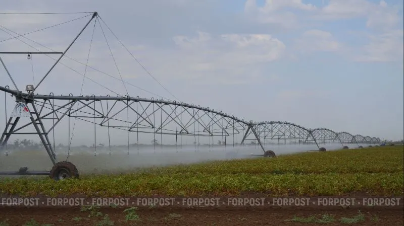 Дефицит воды помешал крымчанам научиться экономить