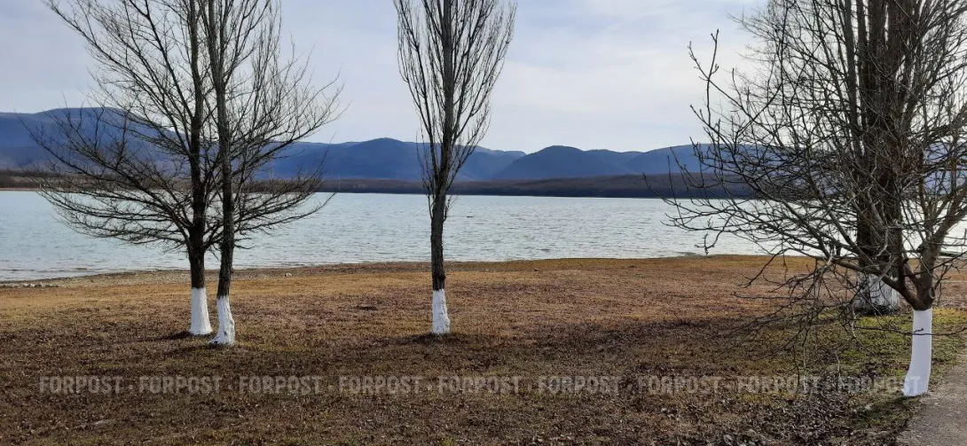 Золушки Севастополя пересчитают все деревья в городе
