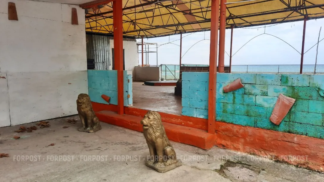 Новые ларьки у парка «Учкуевка» выросли, словно грибы после дождя