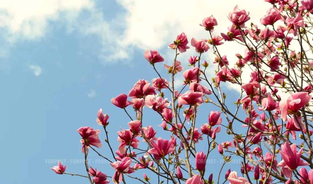 Севсети#932: Гнездо птеродактиля, рекламный триллер и черноморский провал 