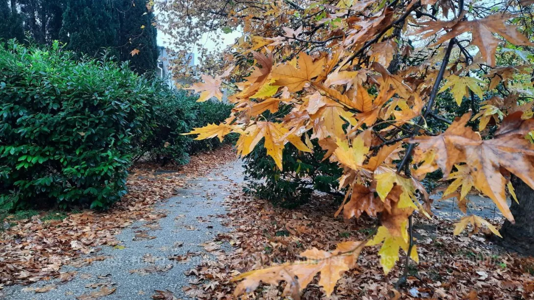 Севсети#933: Вертолёты над городом, настоящее прошлое и несевастопольская мина 