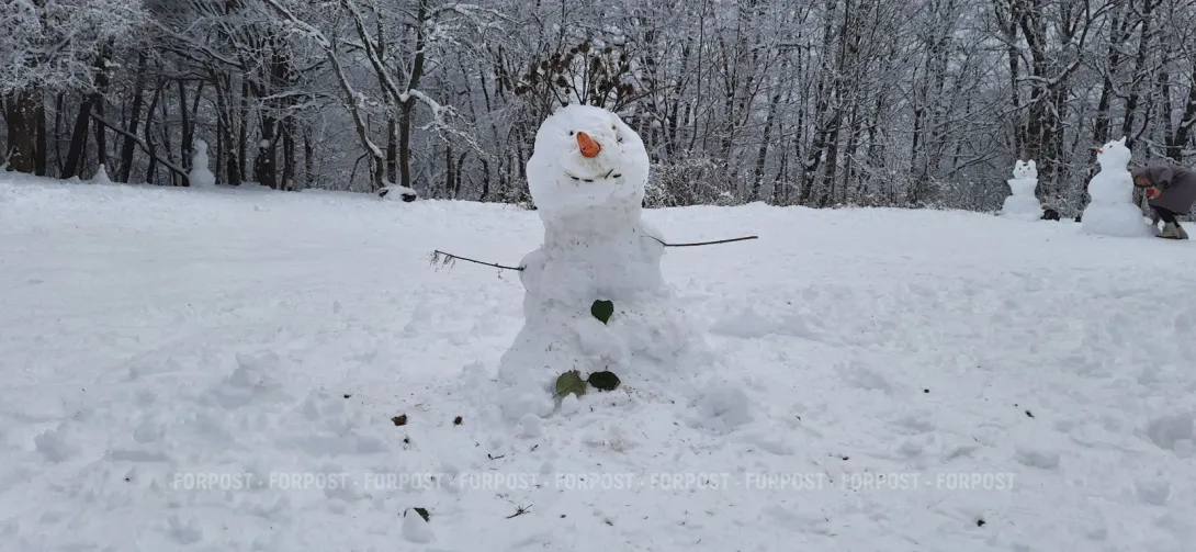 Зима ещё грозит потеснить весну в Севастополе 