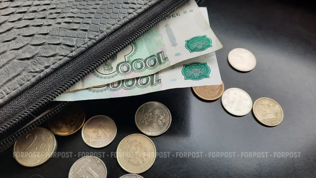 Установлено, сколько нужно для жизни в России в 2026 году 