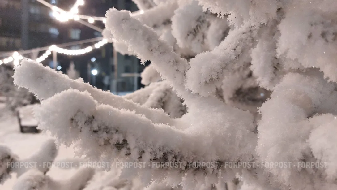 Снежный циклон парализовал Камчатку